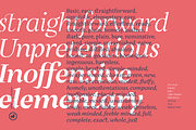 Milas Serif, a Serif Font by Hurufatfont (Thumbnail 5 of 14)