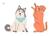 Cute dogs of different breeds set, an Animal Illustration by vik.stock (Thumbnail 9 of 11)