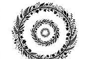 50 Elegant Floral Leaf Spiral Frame, a Decorative Illustration by Amazin_art (Thumbnail 15 of 39)