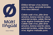 Gaglio Family Font, a Sans Serif Font by Marvadesign (Thumbnail 9 of 9)