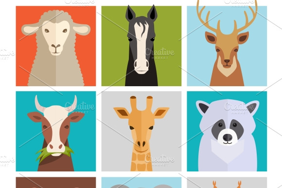 Animals Avatars
