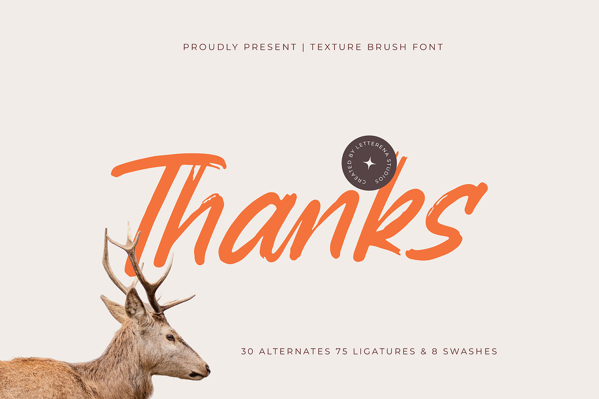 Backline Marker Texture Brush Font, a Script Font by Letterena Studios Script (Photo 20 of 20)