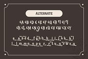 Kelaskin – Classic Serif font, a Serif Font by productype1 (Thumbnail 11 of 13)
