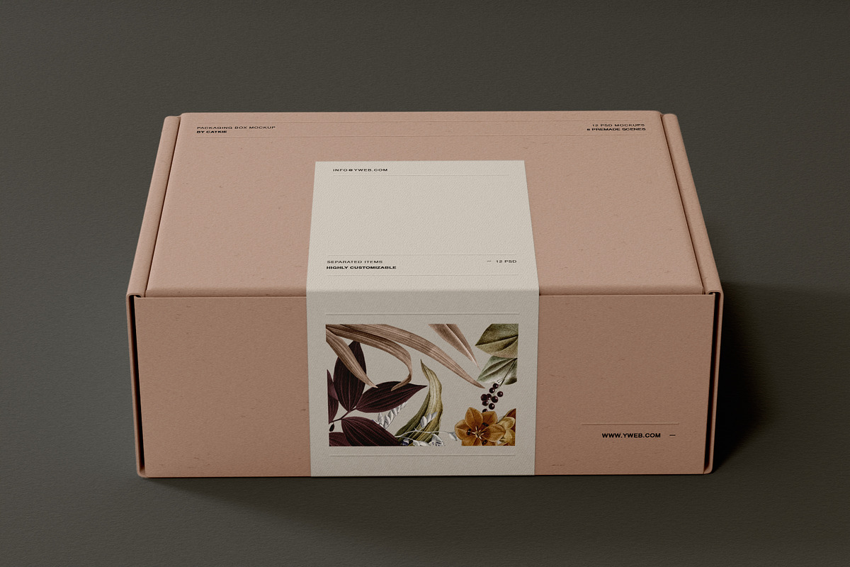 Shipping Box Mockup SIM. VOL1, a Packaging Mockup by Catkie - Digital Art (Photo 6 of 9)