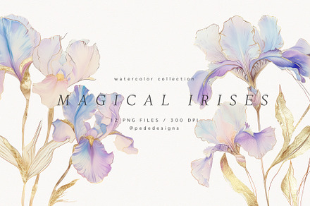 Magical Irises, a Decorative Illustration by PeDe Designs