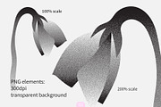 Tender Forms: Grainy Botanical Art, an Object Graphic by Elena Choo (Thumbnail 3 of 12)