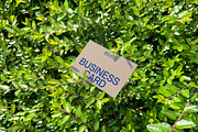 Green Leaf Business Card Mockup, a Mockup by Quirko (Thumbnail 6 of 7)