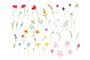Watercolor Wildflowers clipart, a Decorative Illustration by Lemon design (Thumbnail 8 of 21)
