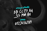 Beast - Brush Font, a Script Font by Tugcu Design Co. (Thumbnail 8 of 8)