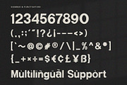 Kingsley - Serif Font, a Serif Font by Alpaprana (Thumbnail 9 of 10)