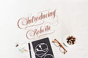 Murchison Script, a Script Font by Stripes Studio (Thumbnail 6 of 9)