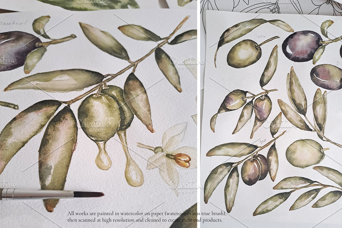 Watercolor Olives collection, a Graphic by MayaNavits (Photo 22 of 25)