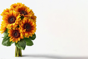 Fresh sunflower bouquet with dewdrops and green leaves standing, a Nature Photo by José Manuel Gelpi