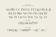 SERMO - elegant serif font, a Serif Font by ToniStudio (Thumbnail 9 of 11)