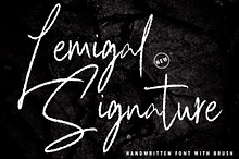 Lemigal - Signature Brush
