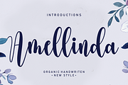 Bundles Script font Collections, a Script Font by Scratchones (Thumbnail 21 of 35)