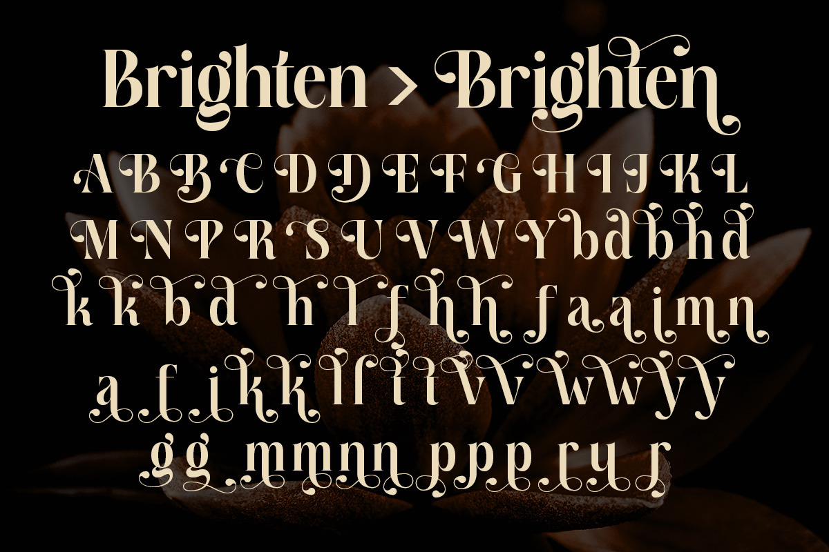 Lissandra Claire A Cinematic Serif, a Font by Annivers Type (Photo 9 of 10)