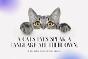 Hugand Minimalist Serif Font, a Serif Font by Graphicxell (Thumbnail 6 of 10)