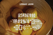 Lemonade Lagoon - Vintage Typeface, a Serif Font by HipFonts (Thumbnail 9 of 10)