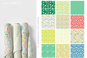 FLOWERS- Spring Illustration Bundle, a Seasonal Illustration by Hello Talii (Thumbnail 3 of 8)