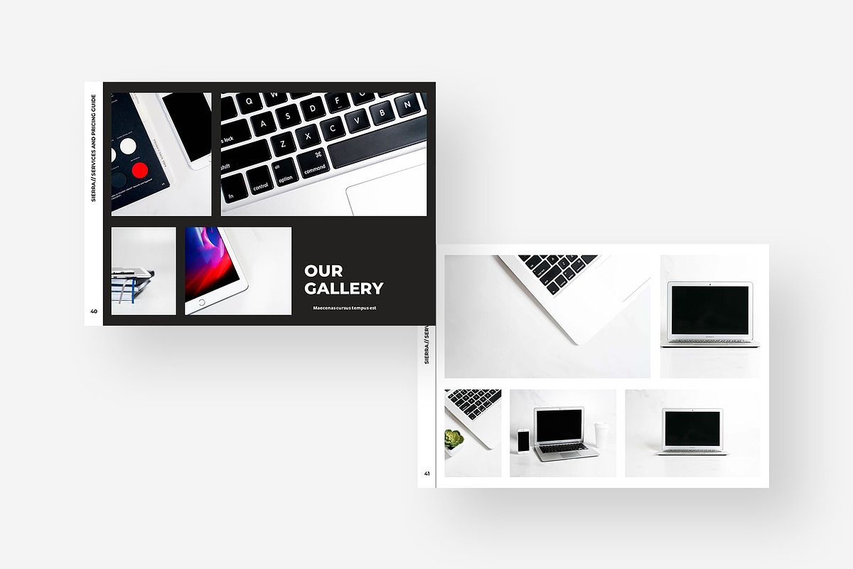Services and Pricing Guide Template, a Presentation Template by Gaize (Photo 8 of 11)