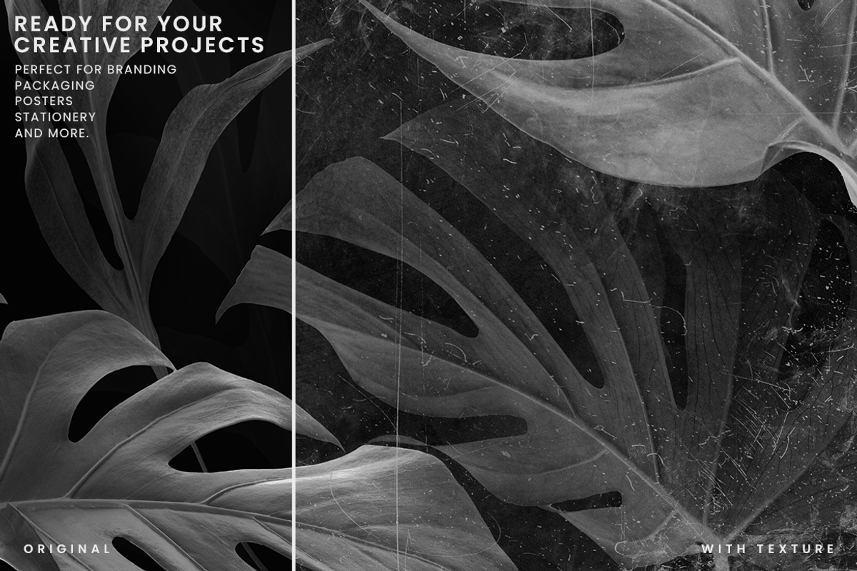 Realistic Black Grunge Textures, a Texture Graphic by Ary_ngeblur (Photo 5 of 7)