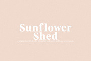 Bourbon - Vintage Serif, a Serif Font by Schrifted Type (Thumbnail 2 of 8)