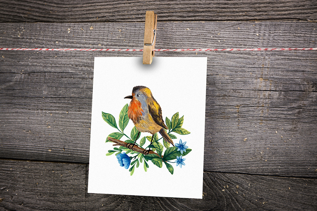 Forest Birds - Gouache Clipart Set, an Animal Illustration by Mashamashastu (Photo 7 of 11)
