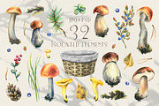 Mushrooms edible forest watercolor, an Object Graphic by NATASHA CHU (Thumbnail 2 of 11)