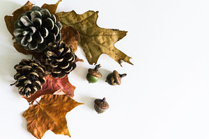 Autumn Styled Photo 