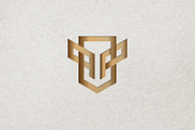 Geometric Initials PP Security Logo, a Branding & Logo Template by Luxury Logos (Thumbnail 4 of 4)