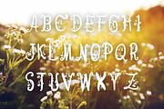 Little Journey font, Wildflower font, a Font by Tattoo Worker Studio (Thumbnail 4 of 4)