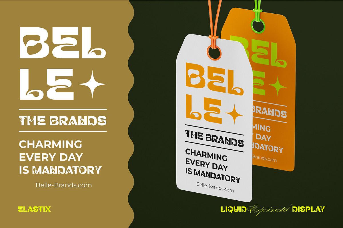 Elastix - Liquid Experimental Font, a Sans Serif Font by Drizy (Photo 7 of 10)