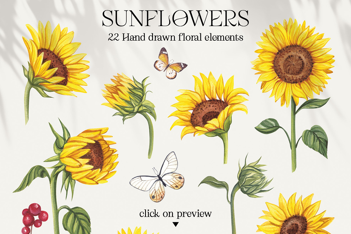 SUNFLOWERS watercolor elements, an Illustration by Elena_Sedova (Photo 12 of 14)