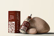 Bela Serfane Elegant Serif Font, a Serif Font by Rasio Studio (Thumbnail 9 of 11)