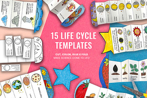 Foldable Life Cycle Bundle, a Stationery Template by AIW SOLUTIONS