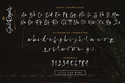 Sail Royals // Brush Signature, a Script Font by Masanis (Thumbnail 9 of 17)