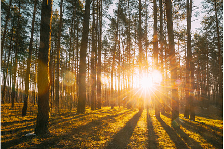 Beautiful Sunset Sunrise Sun, a Nature Photo by Our Amazing World