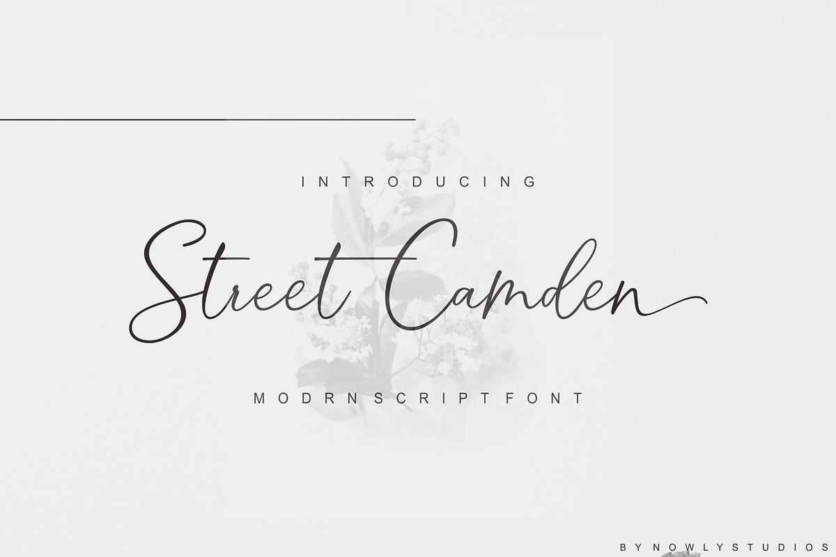 Street Camden Script