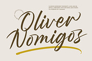 Wystine Esphelta Modern Brush Font, a Script Font by Letterena Studios Script (Thumbnail 7 of 20)