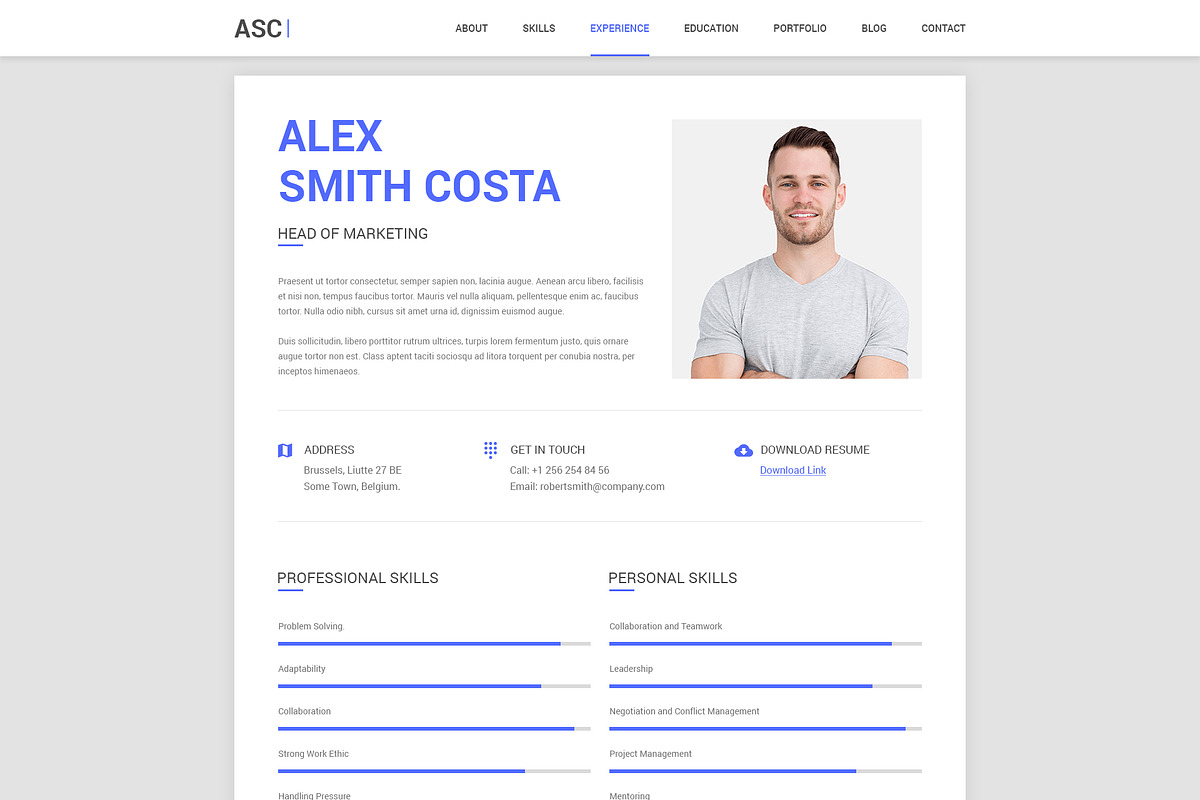 Material CV / Resume, a Resume Template by moinkhanuy (Photo 3 of 10)