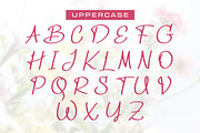 Rinasari - Handwritten Script Font, a Script Font by Morisco (Thumbnail 5 of 6)