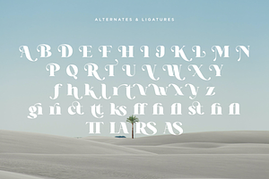 Different Cultures - Modern Serif