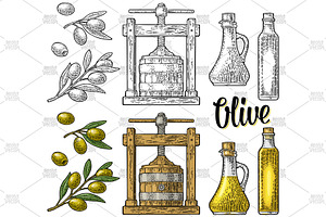 olive oil making engrave