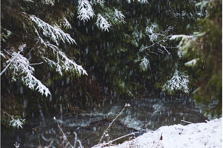 A Snow Covered Stream In The Forest, a Nature Photo by Emotion photo