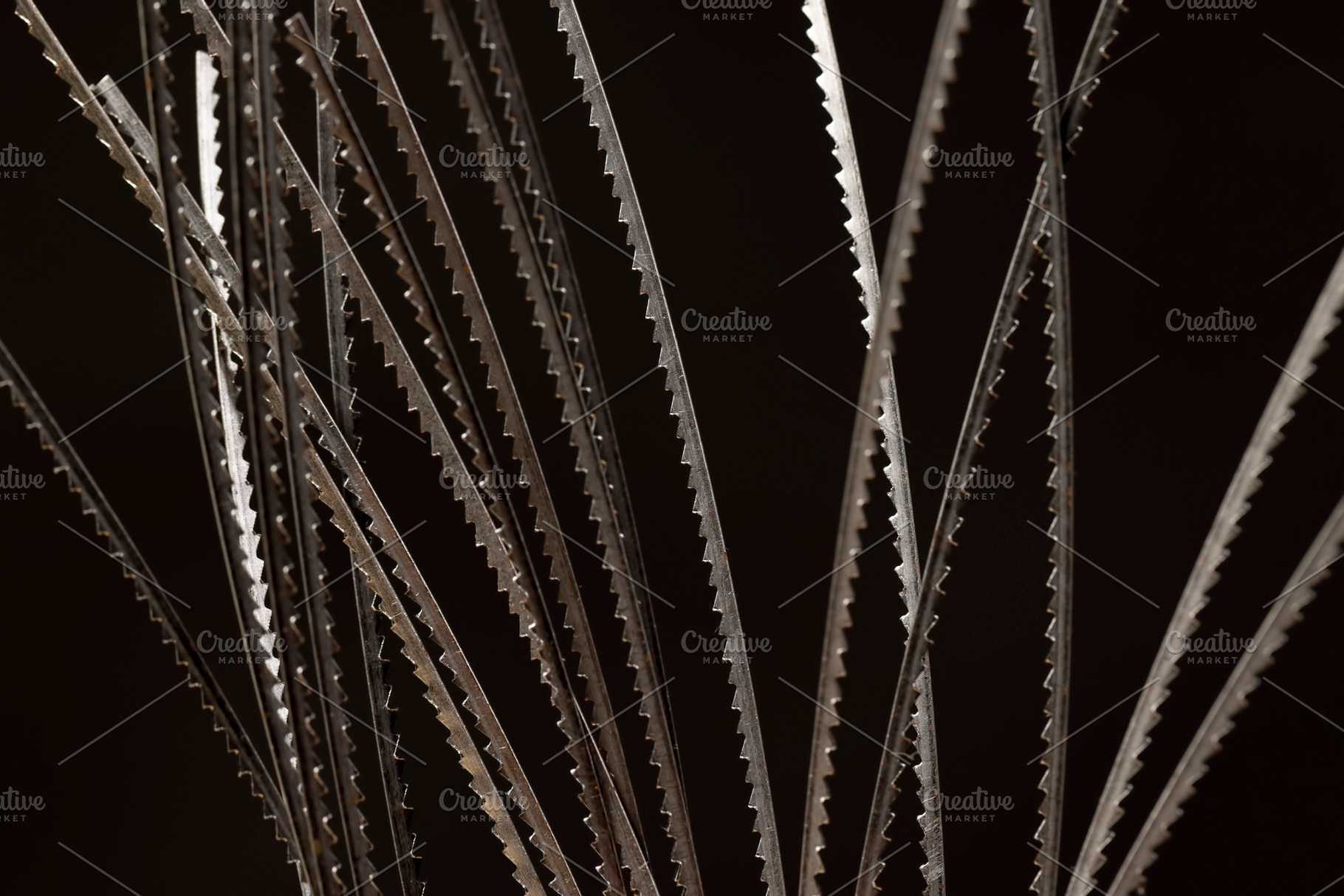 sharp metal wood saw blades, metal brittle woodworking blades, selective focus, a Photo by MyPhotos