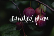 Candied Plum, a Script Font by OnTheSpotStudio (Thumbnail 2 of 4)