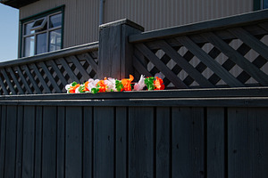 Lattice fence with Irish-themed decoration under sunlight in Akranes, Iceland, a Photo by AS photostudio