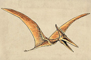 Dinosaurs Watercolor #1  Bundle, an Illustration by Doggy Days (Thumbnail 11 of 14)