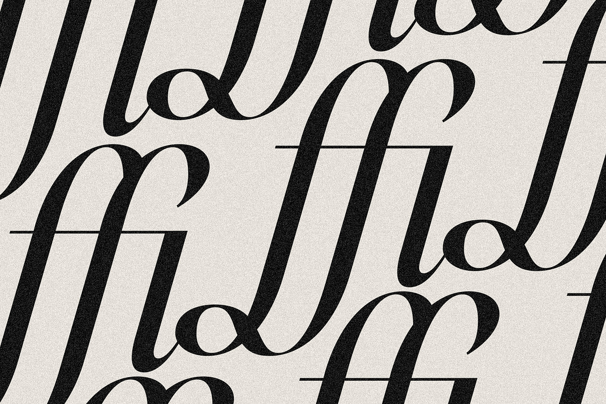 Netsera Calligraphic Serif Typeface, a Serif Font by SilverStag Type Foundry (Photo 20 of 30)